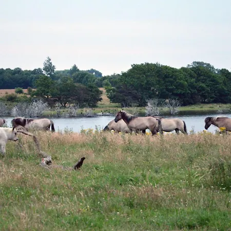 Am Feld Dom wakacyjny *
