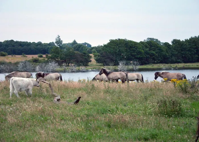 Am Feld Casa vacanze *